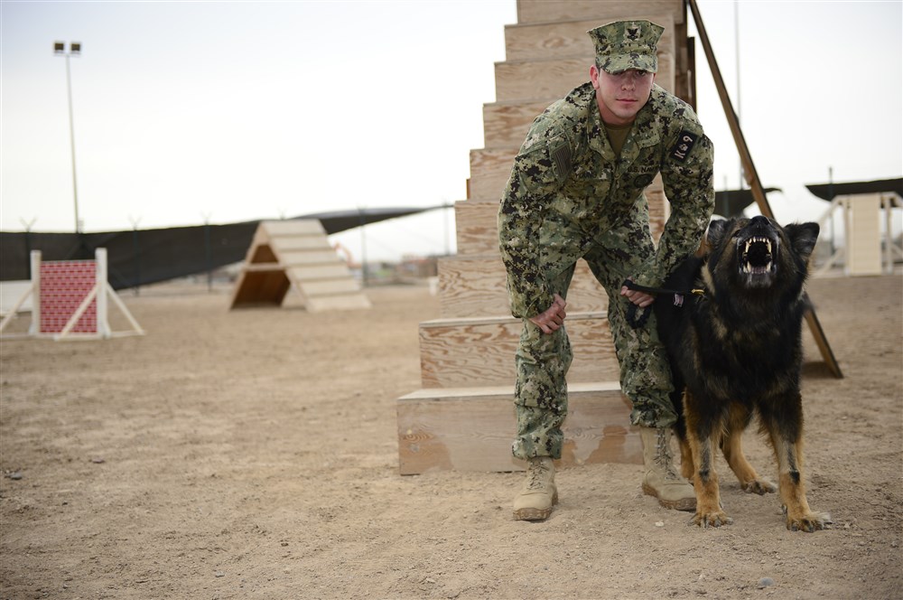 K9 OUTDOOR SIMULATED TRAINING COURSE – Federal K9 & Protection Services